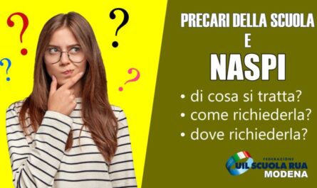 Naspi - Uil Scuola Modena